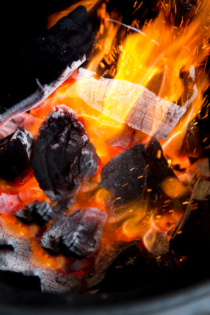 Premium XL Lump Hardwood Charcoal | 20lb bags [BULK]